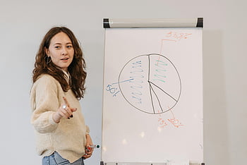 女性、 ブラウンニットセーター、 指差し、 説明図、 ホワイトボード、 指導スキル、 プレゼンテーションスキル、 教室の設定、 円グラフ、 教育プレゼンテーション、 講師