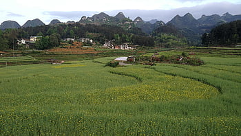 구오 펭, 화려한 귀주, 바슈, 경치, 강, 환경, 감각