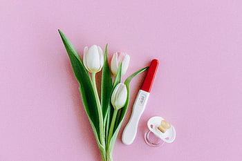 test di gravidanza, pacificatore, tulipani bianchi, superficie rosa, fertilità, nuovi inizi, distesa piatta, articoli per bambini, Annuncio di gravidanza, maternità, fiori