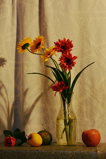 flowers in vase, assorted fruits, colorful still life, warm scene, bright flowers, vase display, fruit arrangement, floral composition, indoor still life, natural light, decorative setup