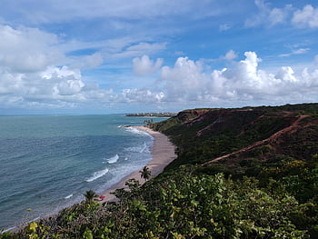 coqueirinho, paraíba, tourism, bp, nature, landscape