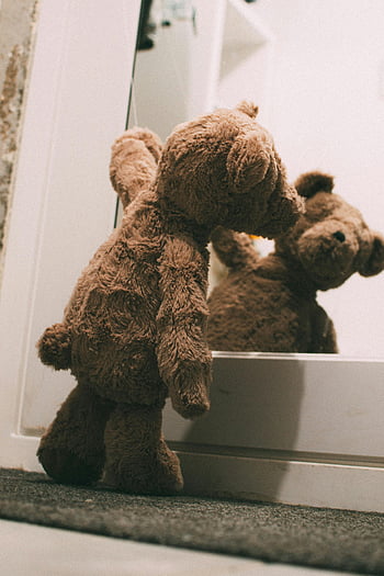 teddy bear, plush teddy, mirror reflection, cozy scene, nostalgic scene, stuffed animal, teddy bear mirror, plush toy, teddy bear reflection, soft toy, teddy bear standing