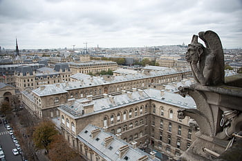 Paříž, chrlič, Francie, katedrála, architektura, gotický, notre-dame, gotická architektura, historické architektury