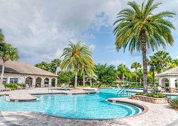 swimming pool, palm tree, tropical resort, poolside setting, relaxing vacation, vacation vibes, idyllic setting, tropical vacation, resort pool, palm trees, tranquil poolside
