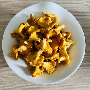 fungo dell'uovo, funghi, finferli, commestibile, giallo, fungo, cibo, autunno, fungo commestibile