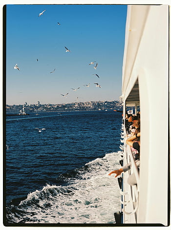uccelli che volano, traghetto, stretto del Bosforo, Istanbul, chiaro cielo blu, viaggiatori, viaggio in traghetto, gabbiani, acqua, paesaggio urbano, viaggio