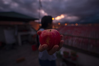 Apfel, eckig, Apfelbaum, Perspektive, wunderschönen