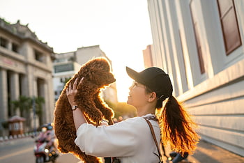 woman, dog, nature, animal, pet, sunset, street, city, road, friends, girl