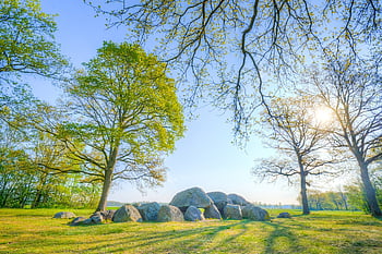 dolmen, holland, természet, tájkép, drenthe, Hollandia, tavaszi, rét
