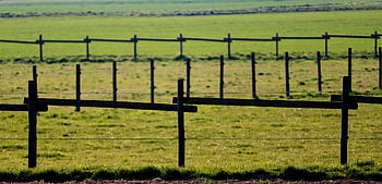 pasture Fences, fences, wood Fences, graze, meadow, delimitation, post, barrier, limitation, agriculture, shut Off