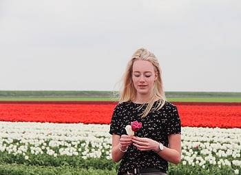 tavaszi, holland tavasz, tulipán, tulipán mező, Hollandia, természet, gyönyörű virágok, észak-holland, virágok, holland lány, szőke