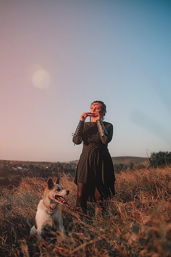 woman, field, animal, dog, outdoors, hills, pet, young, celtic, celt, nature