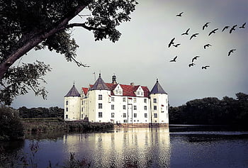 hrad, moated, rybník, vodní hrad, Příroda, fasáda, budova, architektura, pevnost, opevnění, wasserburg