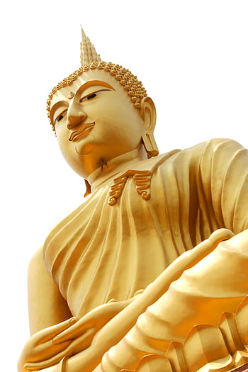 socha Buddhy, zlatý buddha, nízký úhel pohledu, duchovno, zlatá socha, postava Buddhy, náboženský symbol, umění Buddhy, duchovní umění, zlatá postava