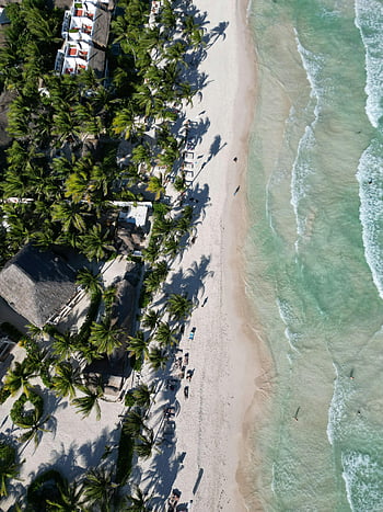Tulum Beach, Pláž lemovaná palmami, tyrkysové moře, riviéra maya, letecký pohled, Exotická pláž, mexiko beach, bílé písčité pláže, tropické pláže, pláž dovolená, palmy