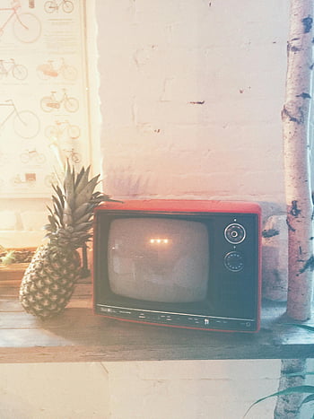 vintage television, red television, pineapple, wooden table, rustic wall, turned-off TV, CRT TV, black and red, vintage decor, retro style, indoor setting