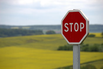 Red Stop Sign, rural landscape, Schweyen, France, stop sign, countryside, outdoor, road sign, traffic sign, scenic view, field