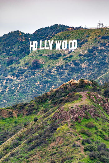 hollywood znamení, Los Angeles Hills, Slavné Hollywoodské znamení, svěží kopce, mezník, venkovní fotografie, krajina kalifornie, Hollywoodská cestovní ruch, Hollywoodská ikona, pohled, Hollywoodská historie