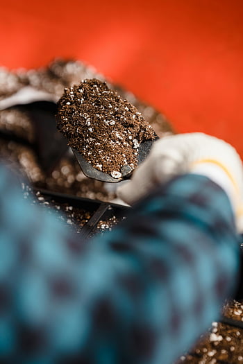zahradník, půda, lopata, zednická lžíce, výsadbu, úrodná půda, detail, práce na zahradě, ruce, rukavice, červené pozadí