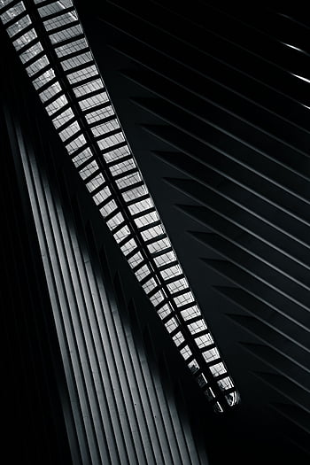 grayscale photo, modern ceiling, black-and-white abstract, architectural design, geometric patterns, abstract composition, modern architecture, ceiling design, black and white, abstract art, architectural photography