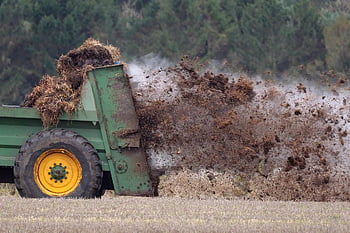 gødning, Muck Spreader, Mark, Muck spredning, gødningsspreder, gård, Organisk gødning, dyrkbar, landbrug, landdistrikterne, felter