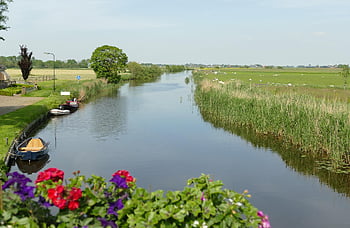 paysage, rivière, ruisseau, horizon, pâturage, herbe, vert, bateau, la navigation de plaisance, la nature, Frise