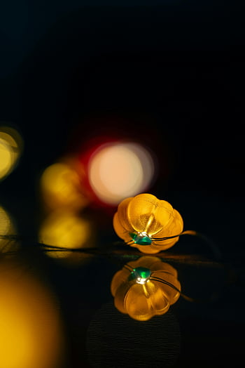 glowing yellow string light, reflective surface, bokeh background, close-up, decorative artificial flower, string lights, bokeh effect, yellow light, reflective table, dark background, bokeh lights