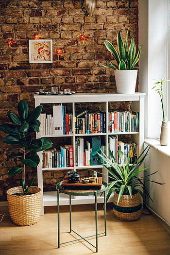 Bücherregal, Ecke, Zimmerpflanzen, Leseecke, Bücherregale, rustikale Ziegelmauer, warm, einladend, gemütlicher Raum, Wohnkultur