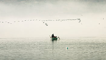 boat, water, lake, nature, calm, travel, waters, birds, mist, clouds, fishing