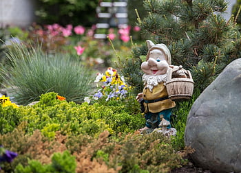 Gnome, trpaslík, Elf, figurka, krásné květiny, postava, dekorace, venku, vousy, keramický, barvitý