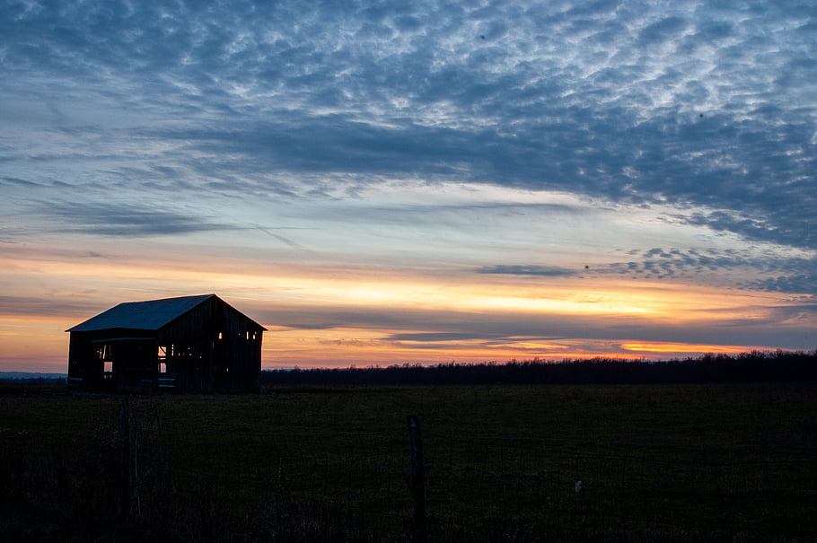 old, barn, farm, field, building, rural, ranch, weathered, landscape, sky, outdoor