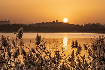 hebei, Shijiazhuang, definido, niigata tuo river, China