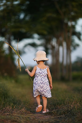 kid, girl, dress, hat, outdoors, field, portrait, childhood, little Girl, child, nature