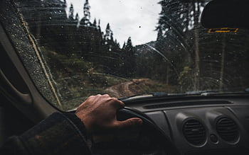 řízení, motorové vozidlo, bahnitá lesní cesta, ruku na volantu, interiér vozu, lesní pohled, blátivé silnici, perspektiva řízení, interiér vozidla, volant, řízení lesa