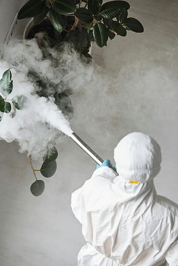 desinfektion, inomhusväxt, skyddskläder, rökutsläpp, pestkontroll, vit skyddsutrustning, inomhusgasning, växtbehandling, rökbehandling, inomhus skadedjursbekämpning, skyddsdräkt