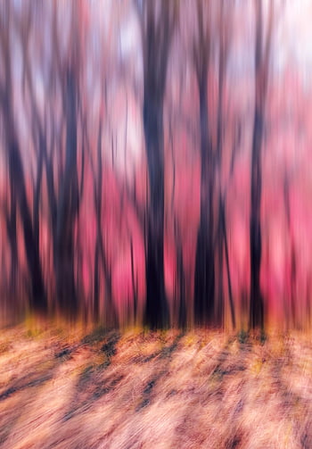 abstract blurred trees, spring bloom, vibrant colors, dreamy atmosphere, artistic abstract image, trees in bloom, abstract nature, springtime scenery, colorful forest, blurred forest, abstract photography