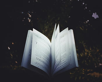 opened book, pages turning, outdoor reading, dreamy atmosphere, open book outdoors, reading atmosphere, book pages, outdoor book, dreamy reading, book in nature, nature reading