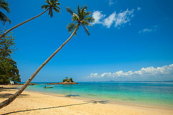 plaja tropicala, palmieri, Ocean clar, cer albastru, Plaja idilică, Plaja de zi, malul marii, palmier de nuca de cocos, calm cer, plaja nisipoasa, paradis tropical
