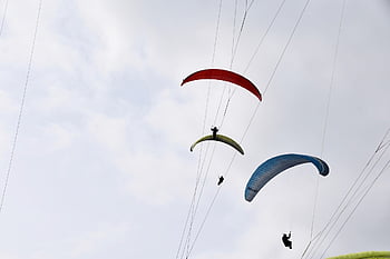paragliding, kluzáků, vítr, plachty, létat, křídla paragliding, vzduch, počasí, Paraglidingové linky, volný čas, let