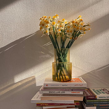 Here are the most relevant photo keywords based on the provided caption and description:

1. daffodils
2. glass vase
3. stack of books
4. sunlight
5. aesthetic display
6. elegant flowers
7. home decor
8. spring flowers
9. natural light

These keywords should effectively cover the essence of the photo for SEO purposes.