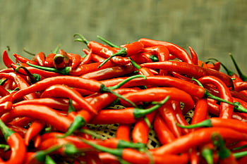 čili paprička, koření, zelenina, chilli, pepř