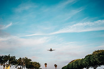 plane, sky, airplane, flight, travel, trees, landscape, outdoor, aviation, aircraft, nature