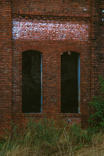 opuštěné budovy, červená cihla, vinobraní fasáda, vysoká okna, detail, architektonický úpadek, městského průzkumu, staré struktury, zdivo, Zarostlá vegetace, okenní otvory