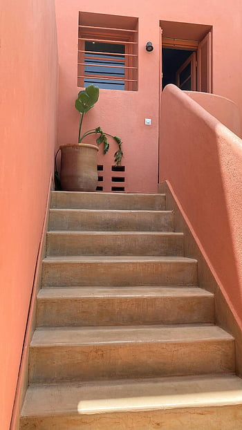 potted plant, stairway, modern staircase, terracotta walls, entrance, decorative plant, indoor plant, architectural design, house entrance, terracotta steps, terracotta decor