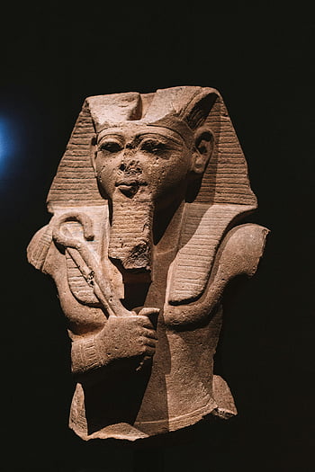 statua egiziana, Museo d'Arte, busto dettagliato, Faraone egiziano, sfondo nero, antico artefatto, scultura storica, eredità culturale, mostra del museo, antico Egitto, scultura di pietra