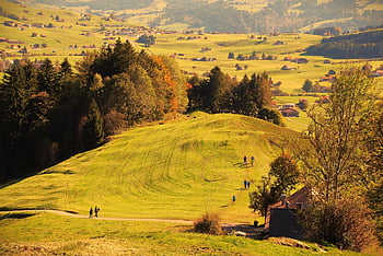 black Forest, field, way, hill, hiking, go, autumn, nature, tourist, alpine, meadow