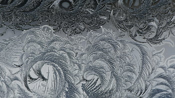 frosty patterns, window frost, icy designs, close-up view, abstract illustration, black and gray, natural patterns, detailed frost, winter art, frozen art, icy textures