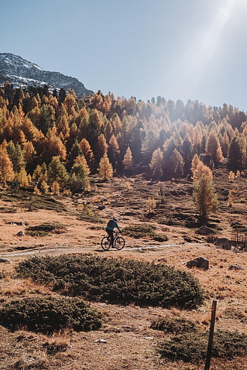 natura, bicicletta, viaggio, avventura, esplorazione, attività, all'aperto, natura selvaggia, Immagini gratuite ad alta risoluzione, Foto di dominio pubblico, Fotografia Stock Royalty-Free