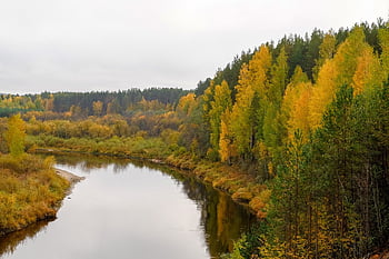stromy, les, řeka, podzim, nebe, barvitý, Příroda, krajina