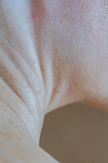 neck close-up, wrinkled skin, natural texture, age beauty, skin details, close-up photography, human neck, skin texture, aging beauty, natural beauty, skin close-up